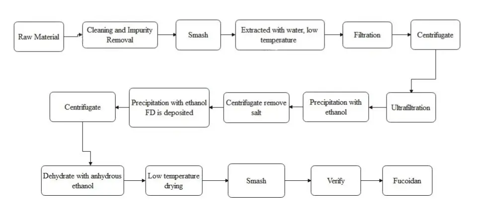 Flow Chart Of Fucoidan Powder.webp